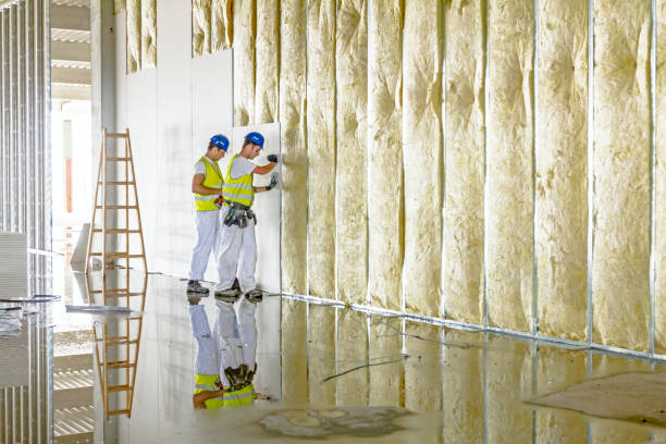 Best Insulation Installation Services in Elkhart, KS